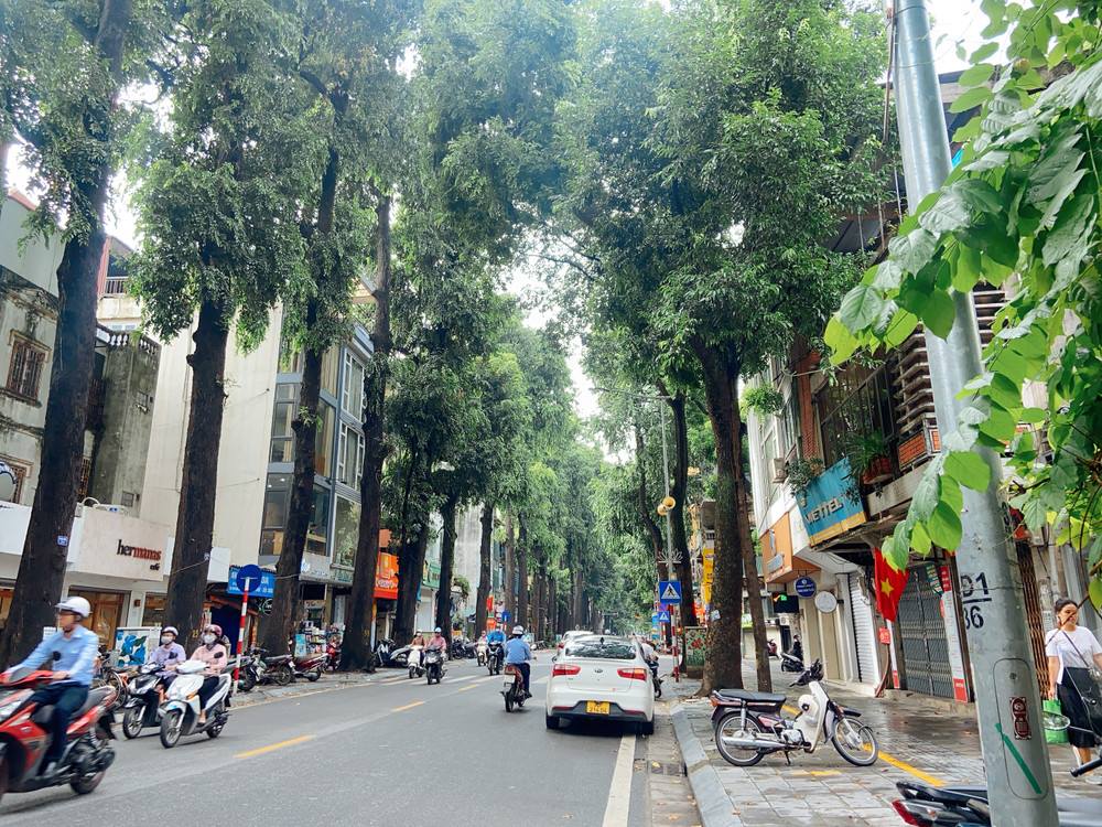 Thuê Xe 7 Chỗ Tại Hai Bà Trưng Hà Nội – Xe Đời Mới, Giá Tốt, Tài Xế Tận Tâm Thuê Xe 7 Chỗ Tại Hai Bà Trưng Hà Nội – Xe Đời Mới, Giá Tốt, Tài Xế Tận Tâm