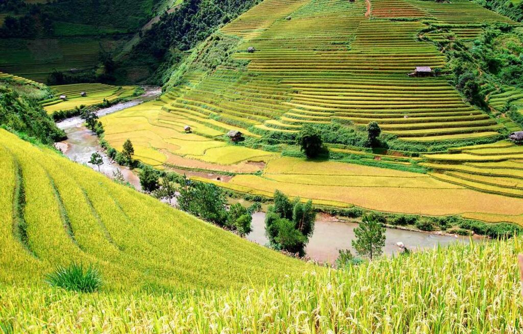 Thuê xe 16 chỗ đi Yên Bái