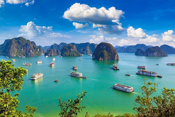 Thuê xe 16 chỗ đi Hạ Long – Xe du lịch đời mới, giá tốt | Minh Long Travel Thuê xe 16 chỗ đi Hạ Long – Xe du lịch đời mới, giá tốt | Minh Long Travel